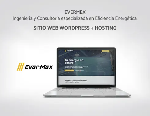 Proyecto de EVERMEX por Neuronas Creativas